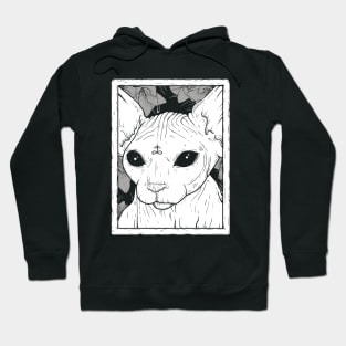 Sphynx Cat Hoodie